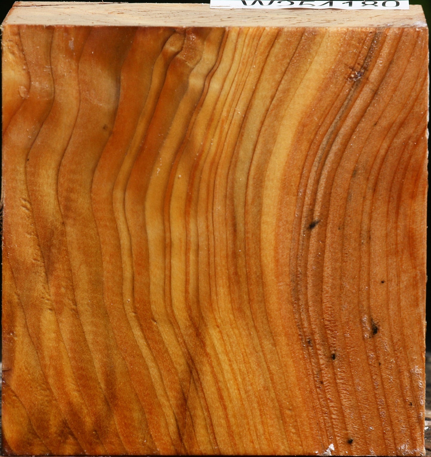 Cedar Of Lebanon Bowl Blank