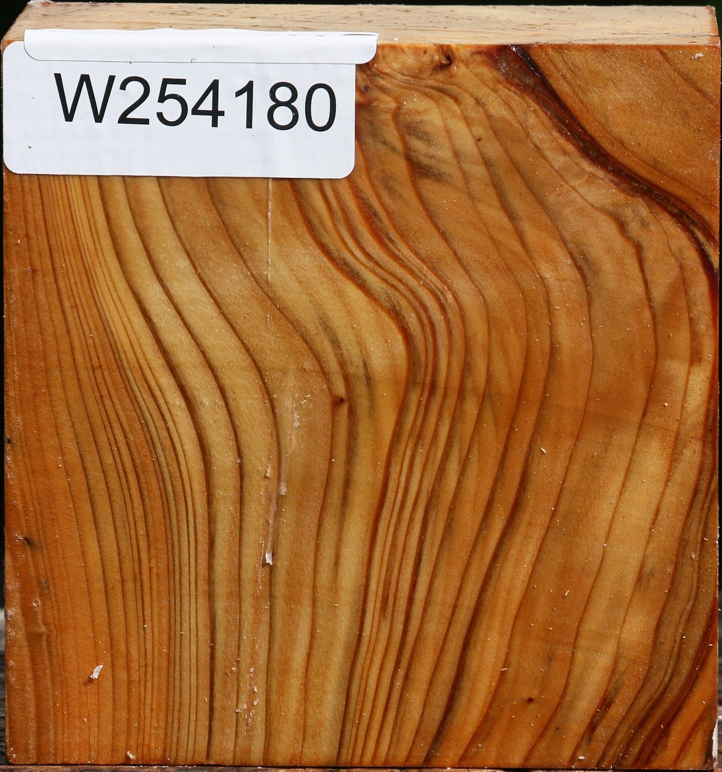 Cedar Of Lebanon Bowl Blank