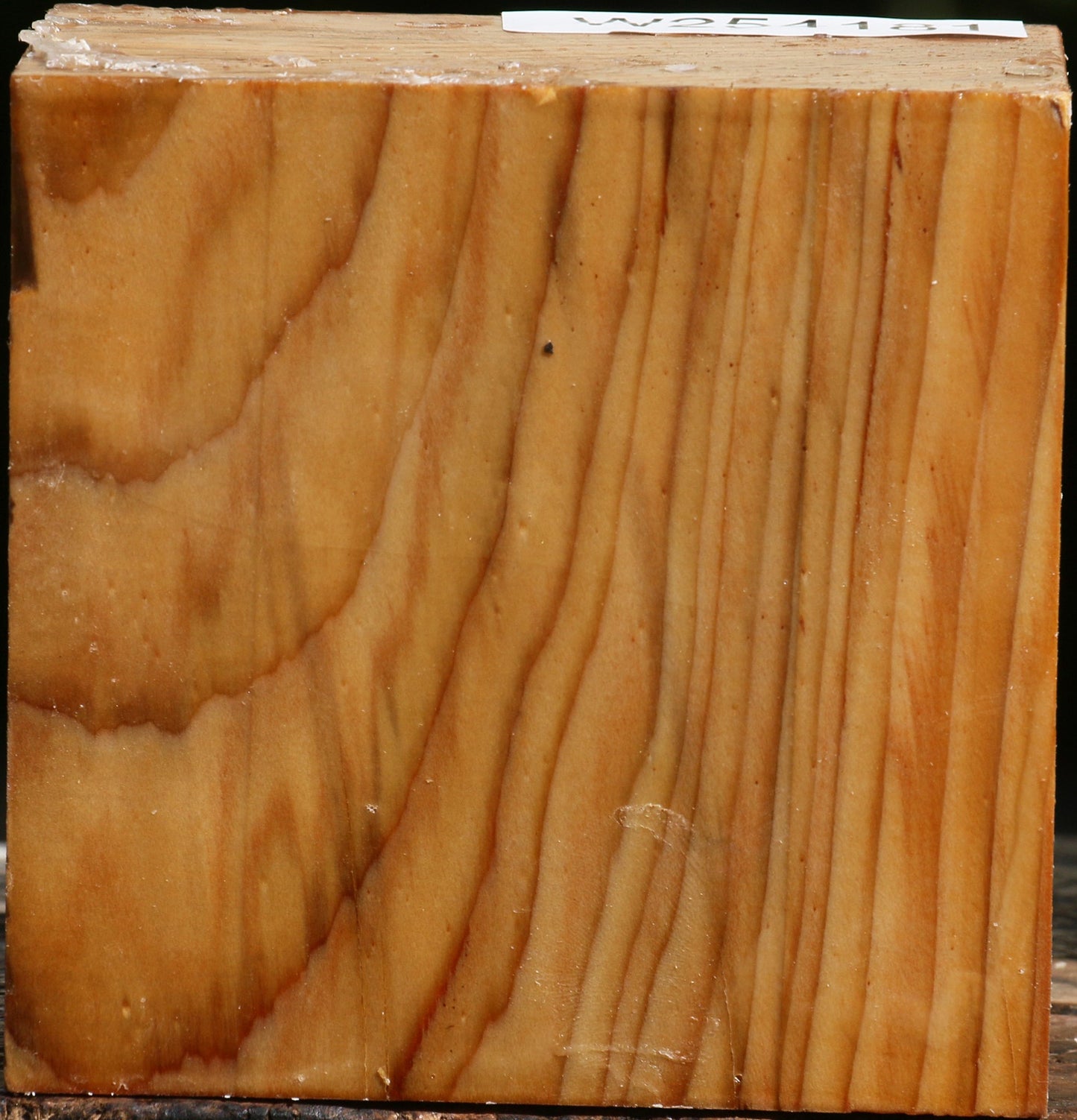 Cedar Of Lebanon Bowl Blank
