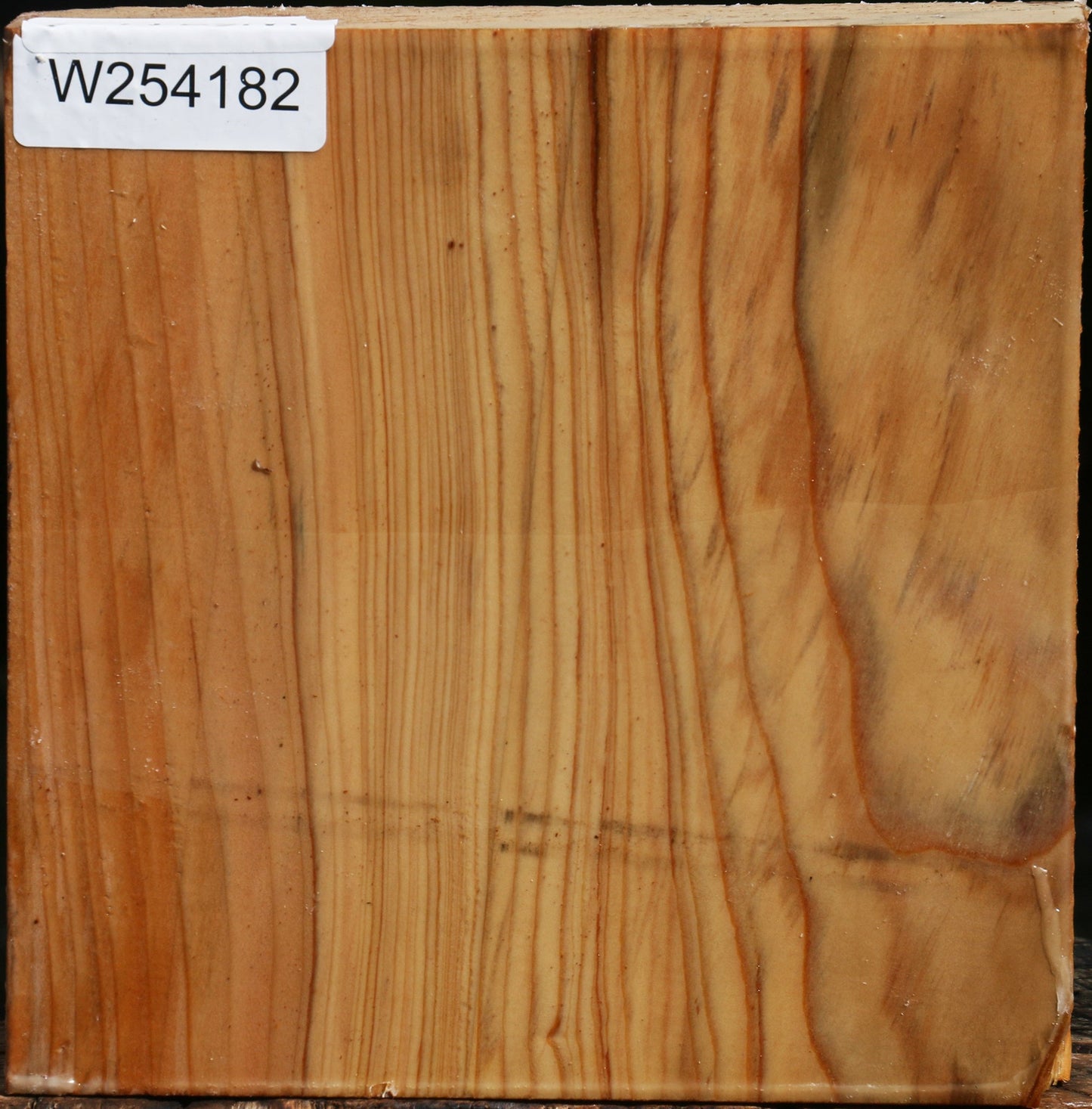 Cedar Of Lebanon Bowl Blank