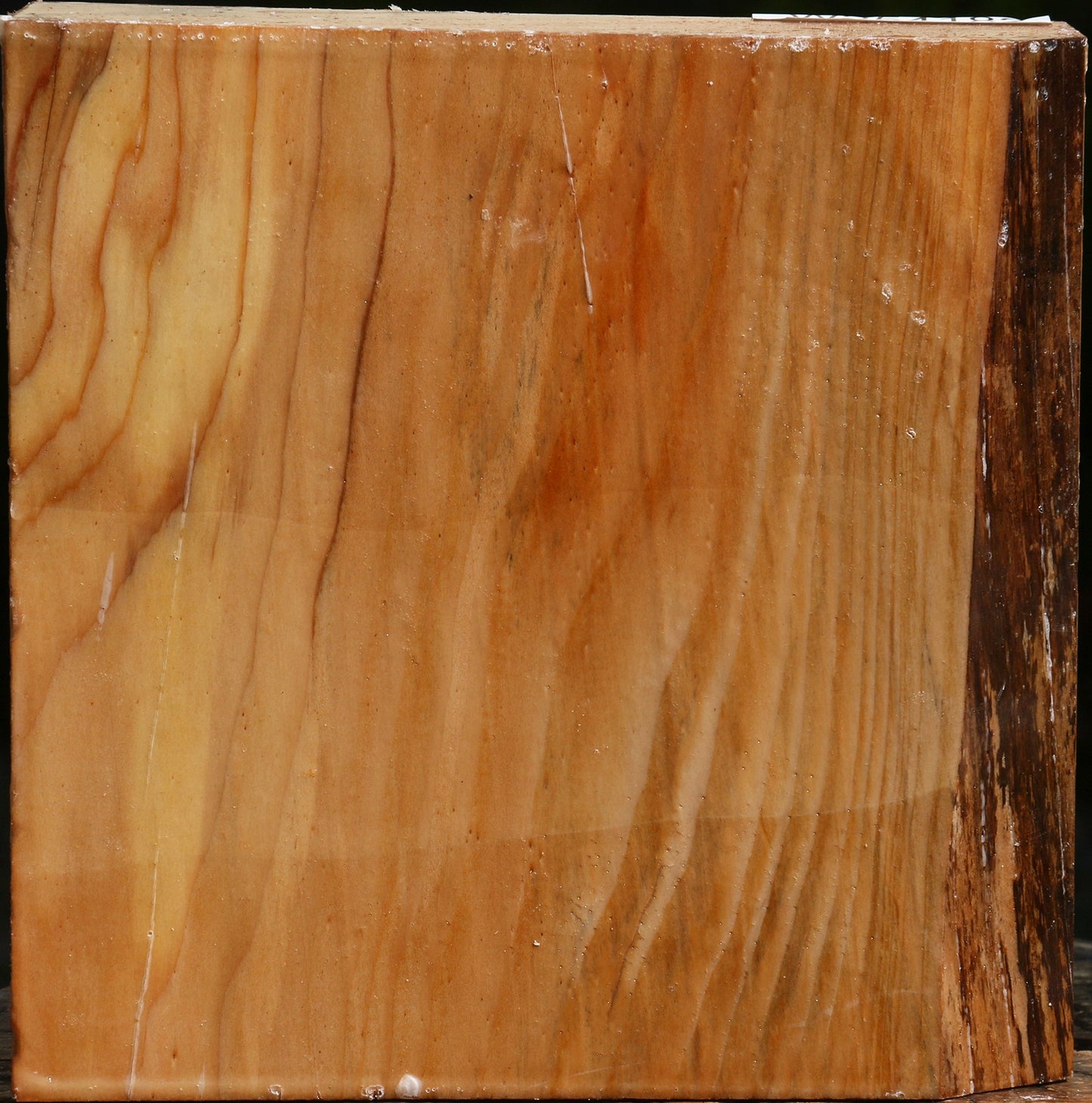 Cedar Of Lebanon Bowl Blank