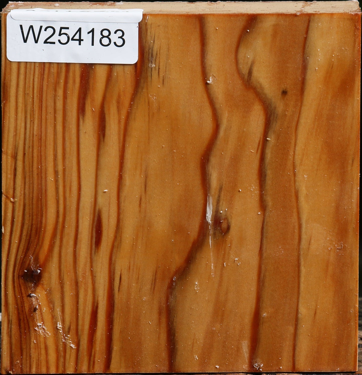 Cedar Of Lebanon Bowl Blank