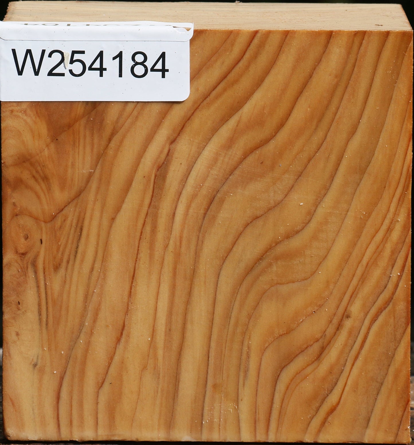 Cedar Of Lebanon Bowl Blank