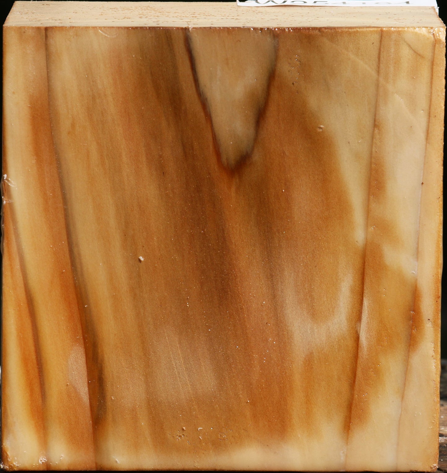 Cedar Of Lebanon Bowl Blank