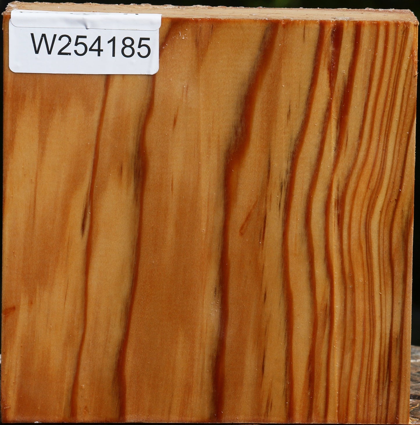 Cedar Of Lebanon Bowl Blank