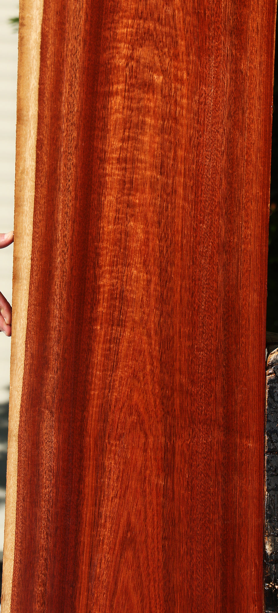 Bloodwood Lumber