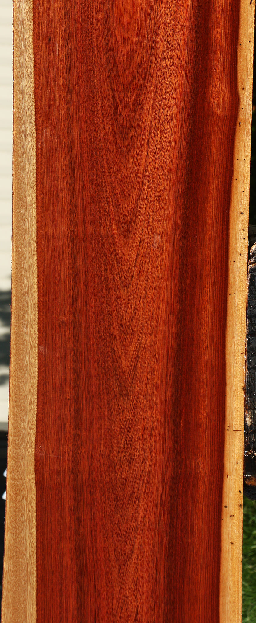 Bloodwood Lumber