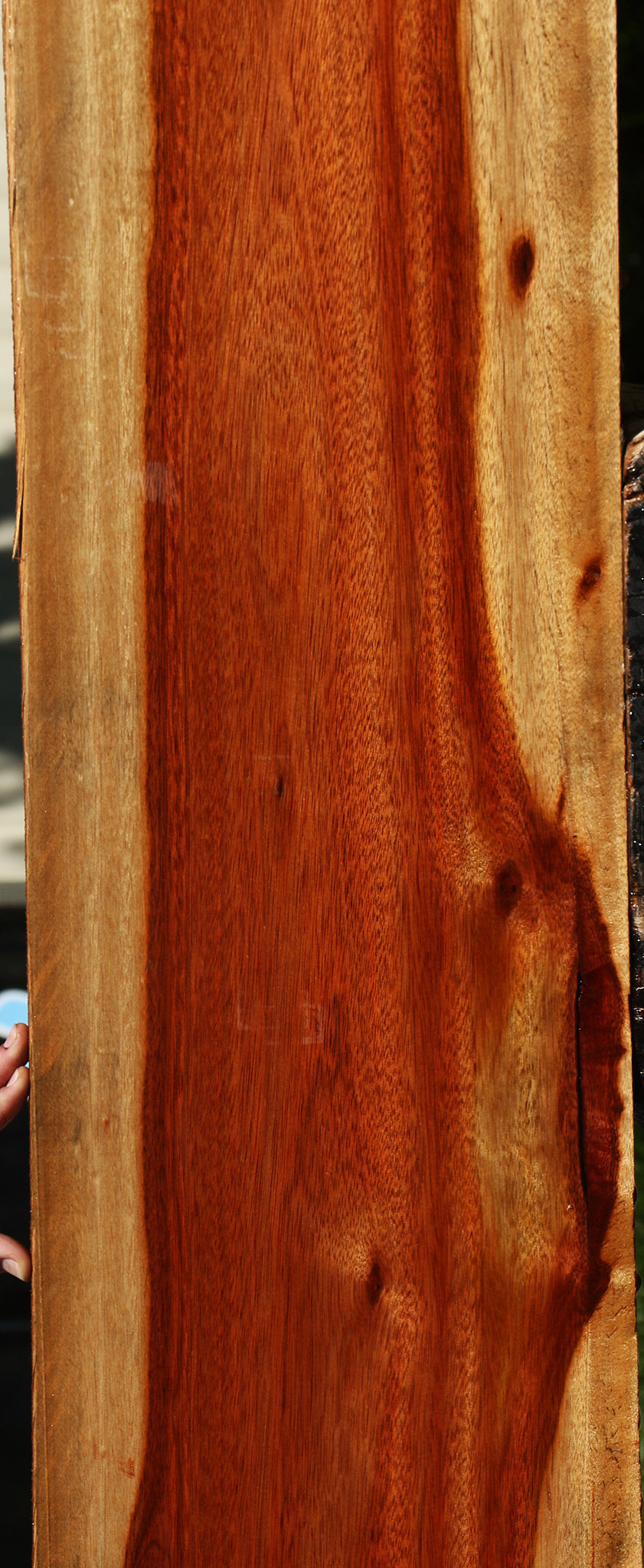 Bloodwood Lumber