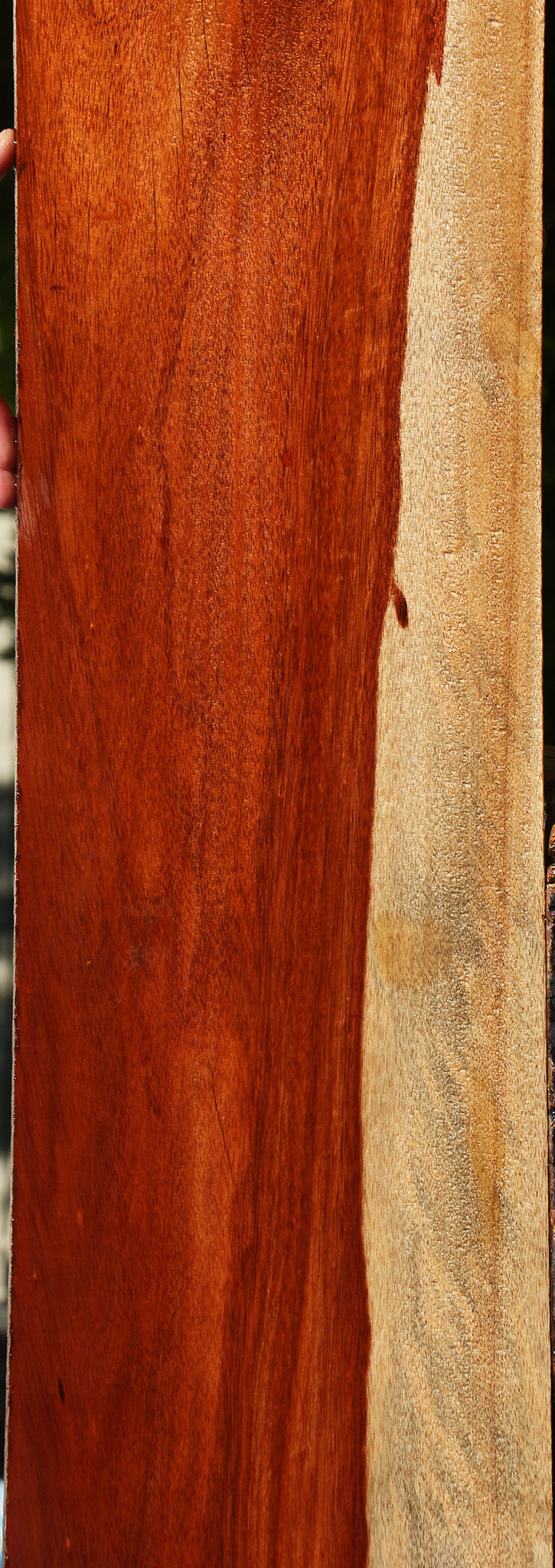 Rustic Bloodwood Lumber