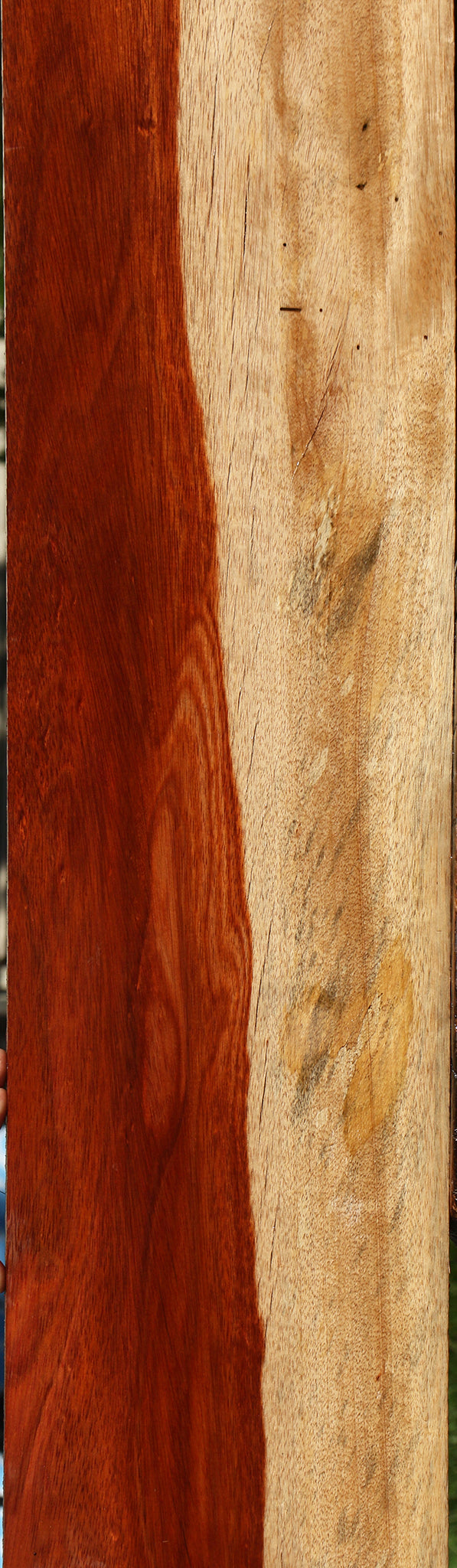 Rustic Bloodwood Lumber