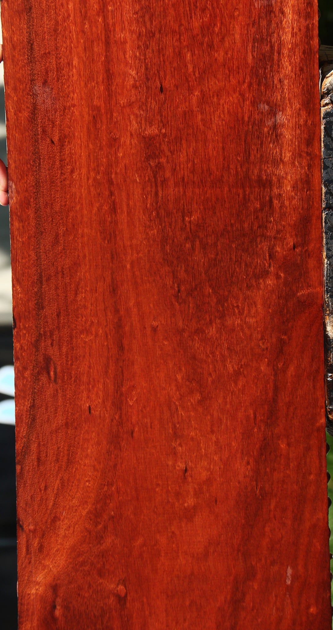 Bloodwood Lumber