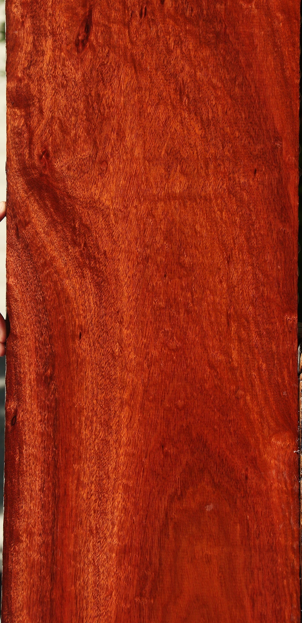 Bloodwood Lumber