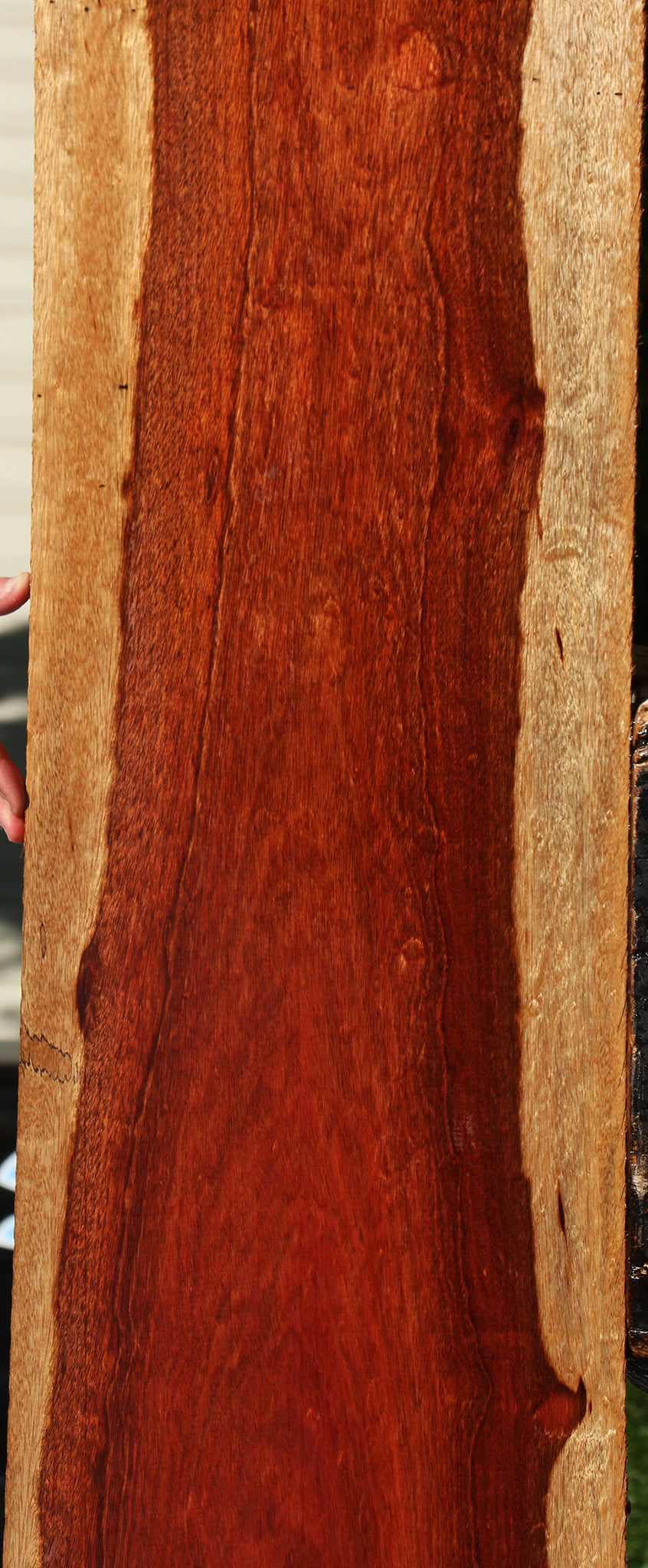 Extra Fancy Bloodwood Lumber