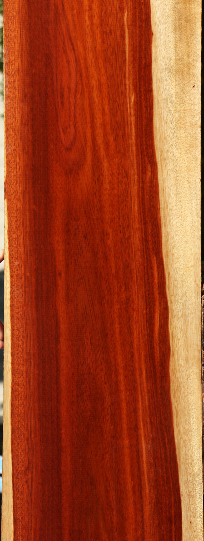 Bloodwood Lumber