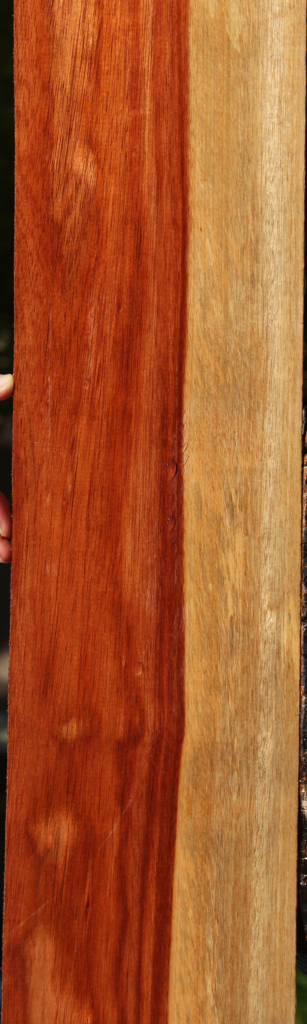 Bloodwood Lumber