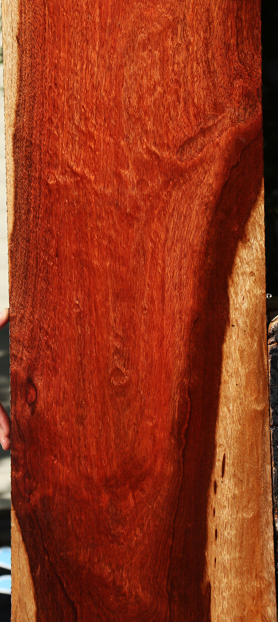 Extra Fancy Bloodwood Lumber