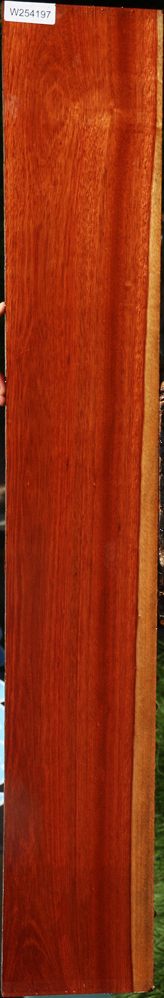 Bloodwood Lumber