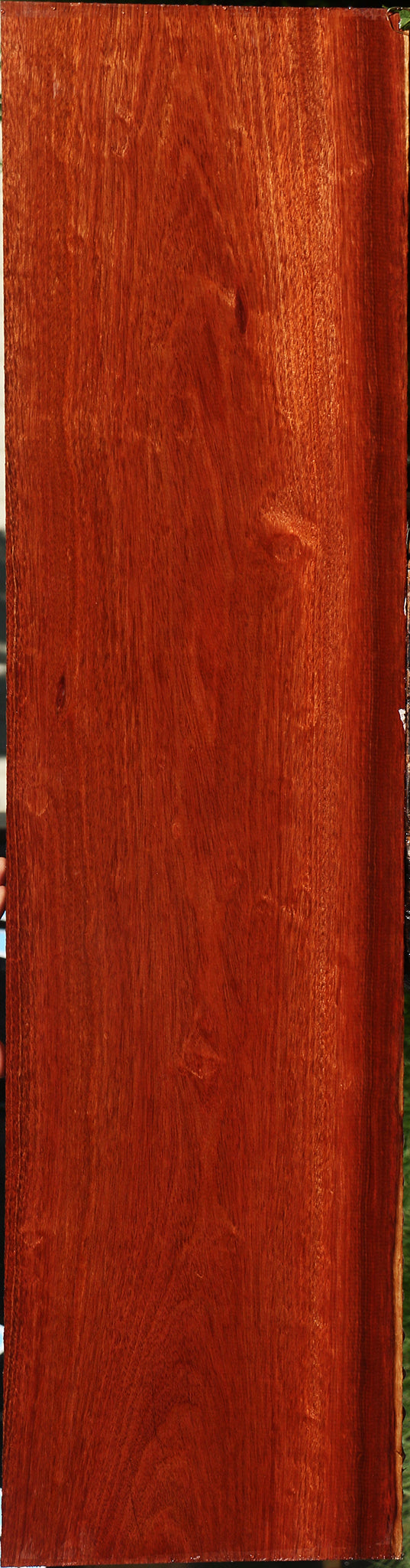 Bloodwood Lumber