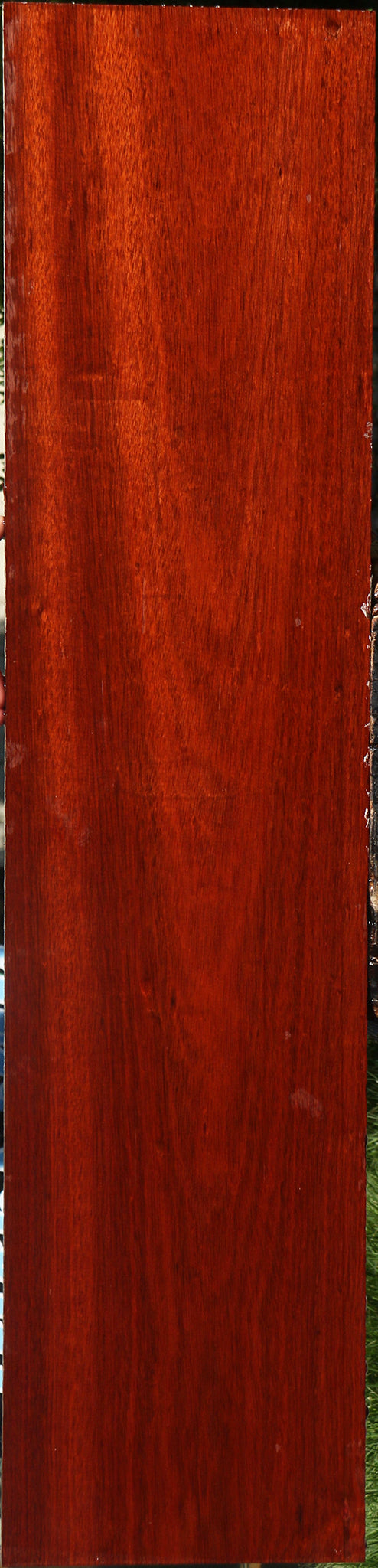 Bloodwood Lumber