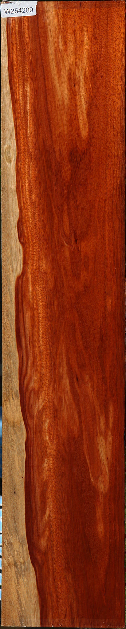 Rustic Bloodwood Lumber