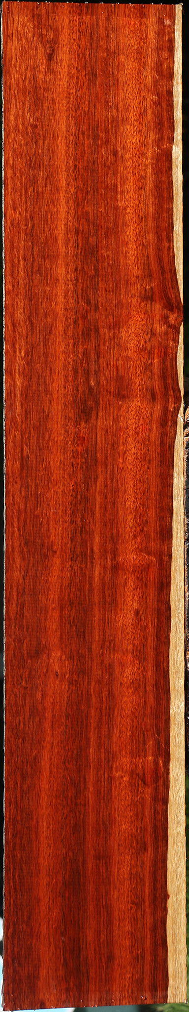 Figured Bloodwood Lumber