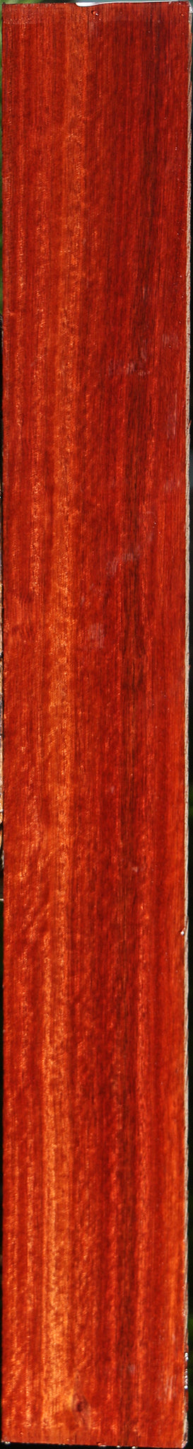 Extra Fancy Quartersawn Bloodwood Lumber