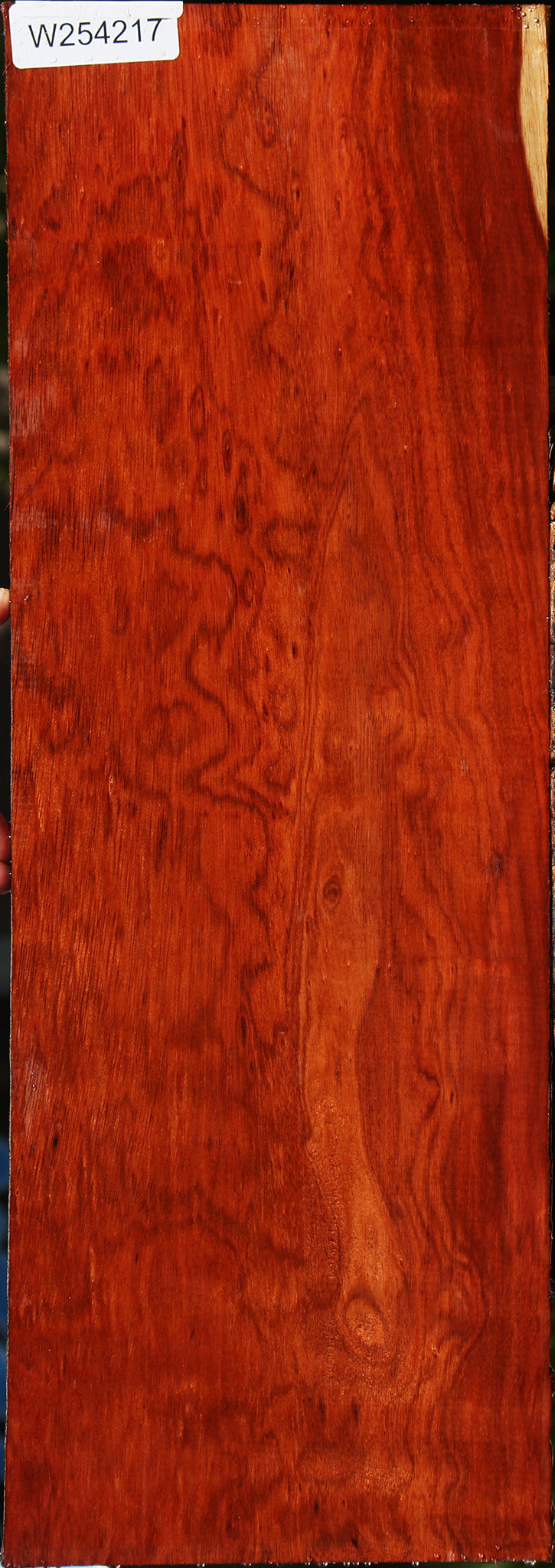 Figured Bloodwood Lumber