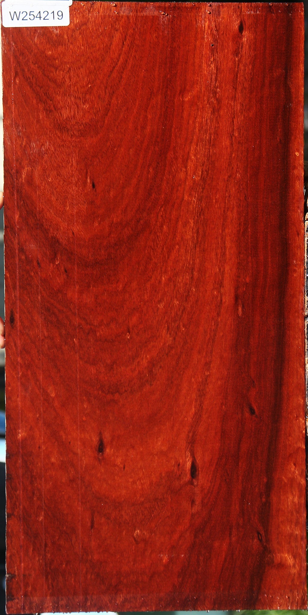 Extra Fancy Bloodwood Lumber