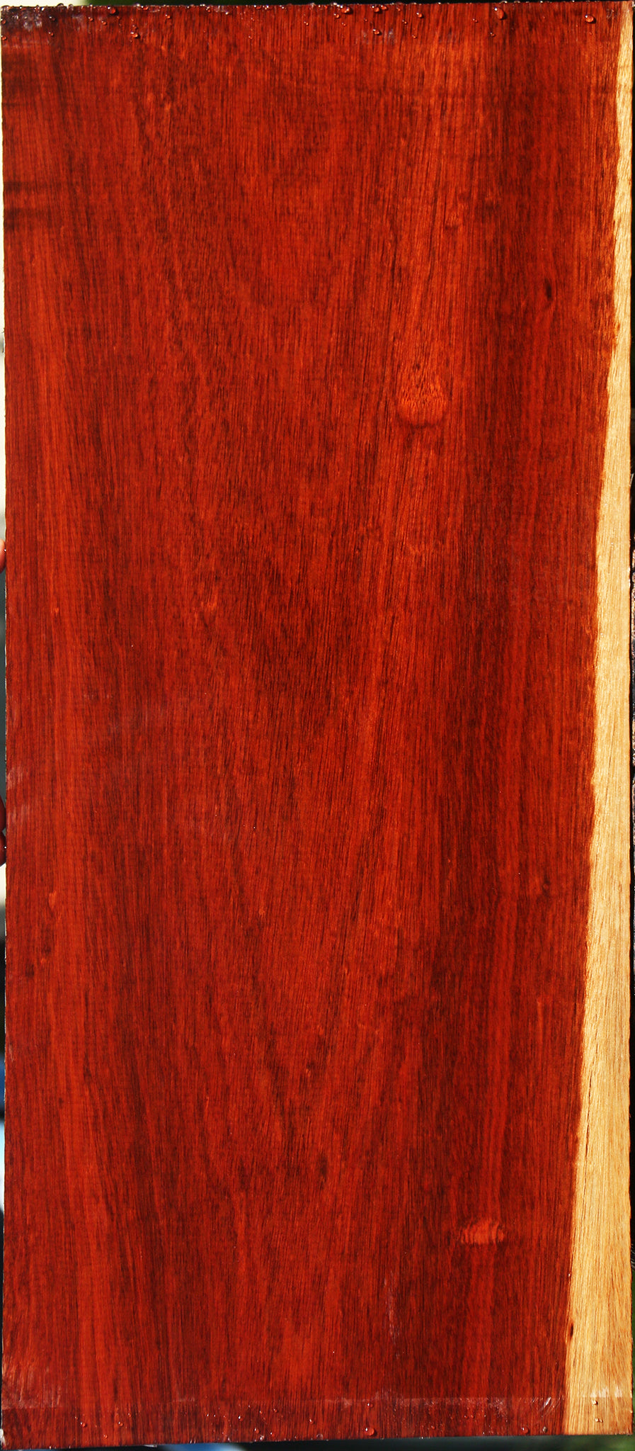 Bloodwood Lumber