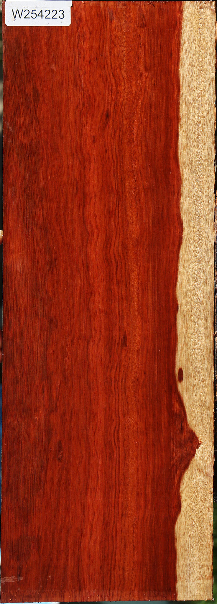 Figured Bloodwood Lumber