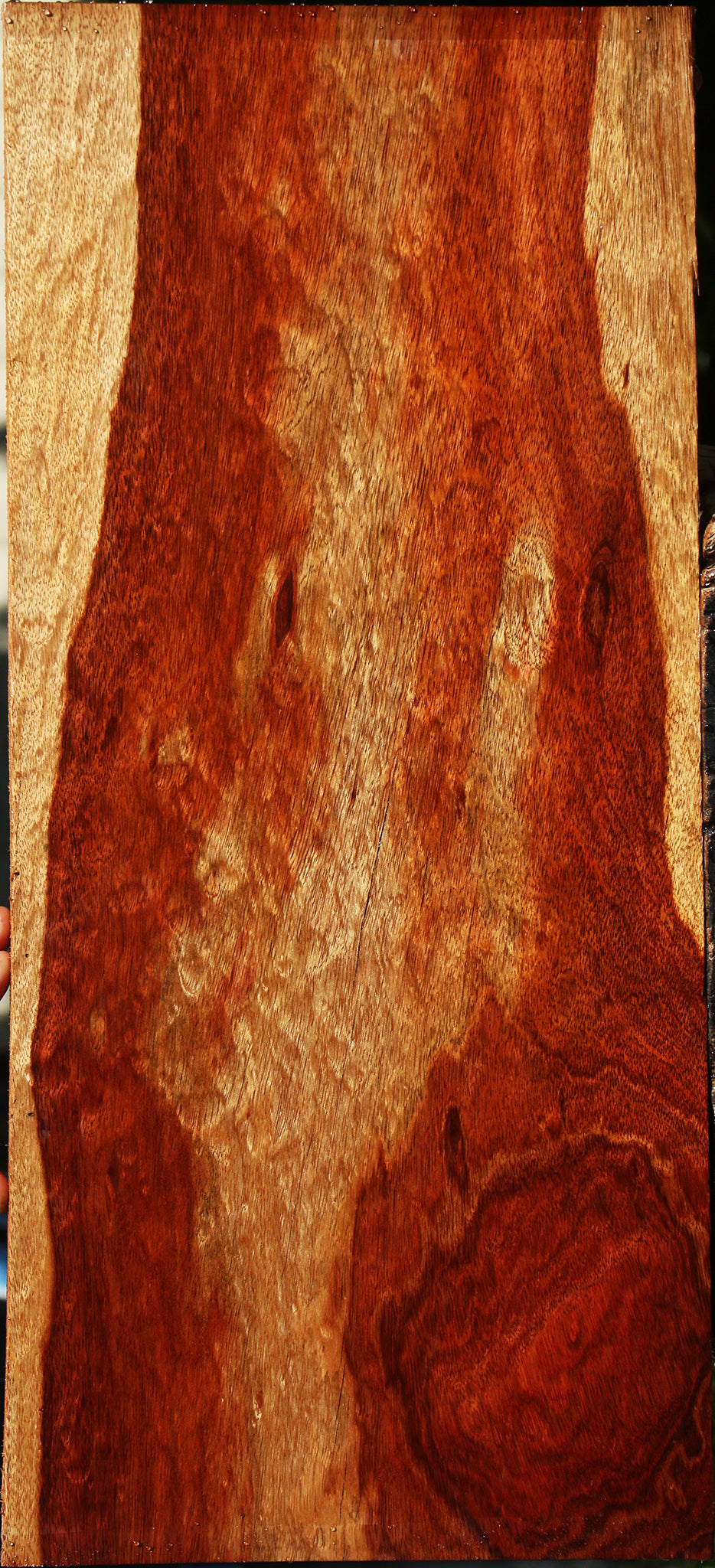 Bloodwood Lumber