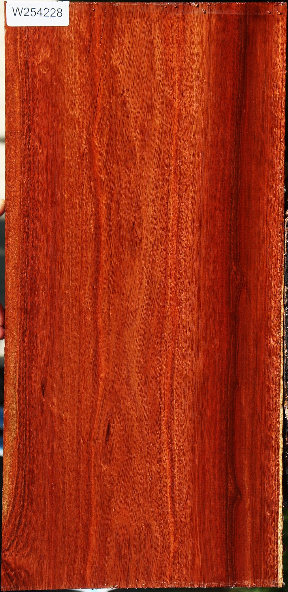Rustic Bloodwood Lumber