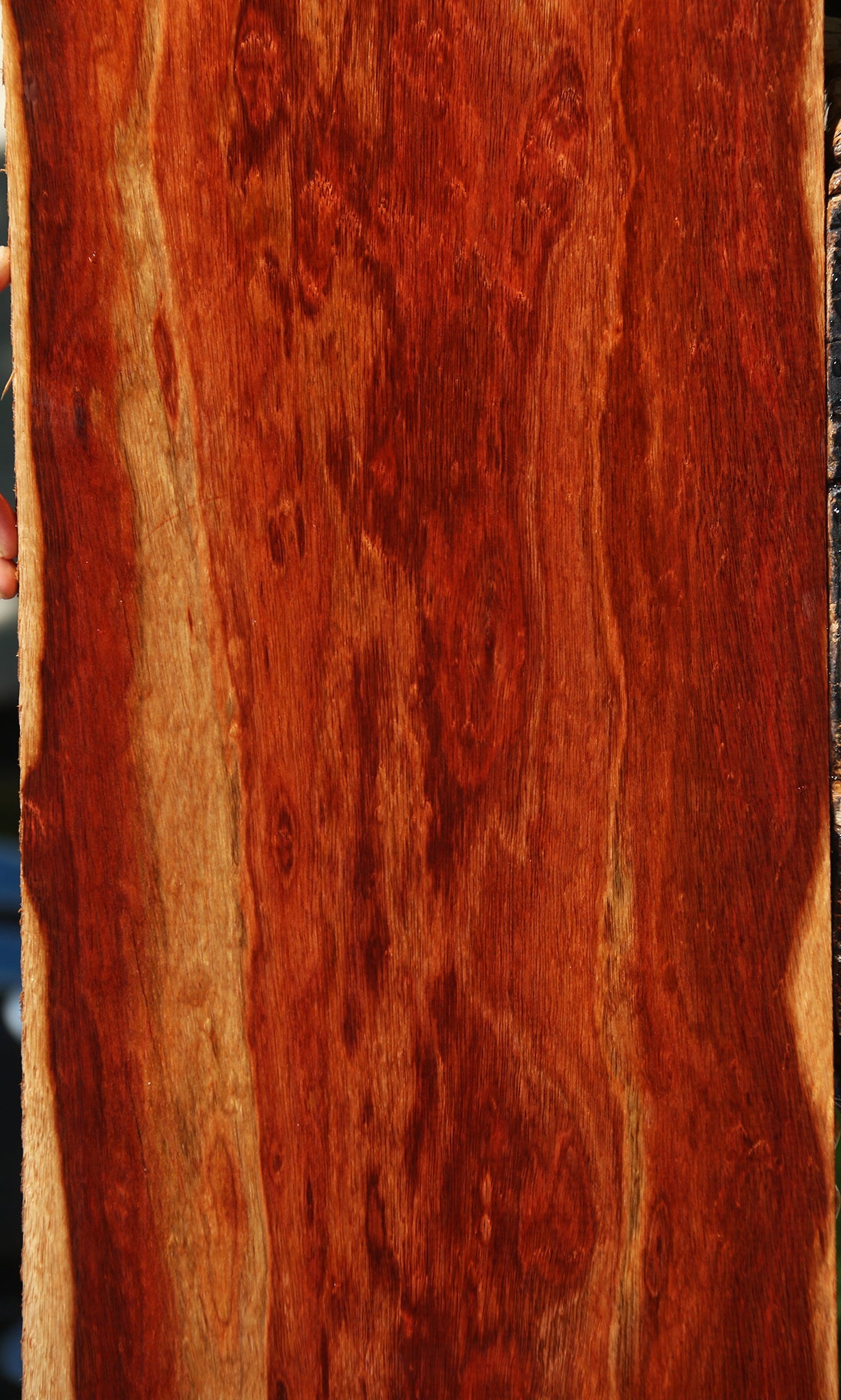 Extra Fancy Bloodwood Lumber