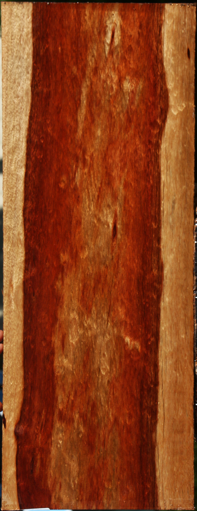 Extra Fancy Bloodwood Lumber