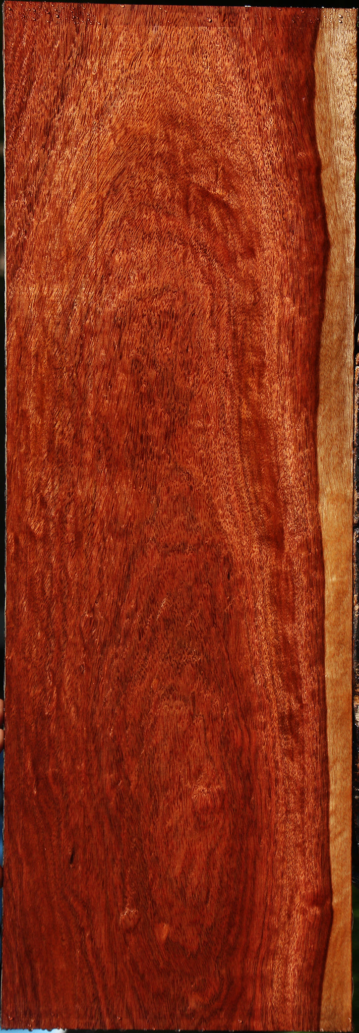 Figured Bloodwood Lumber