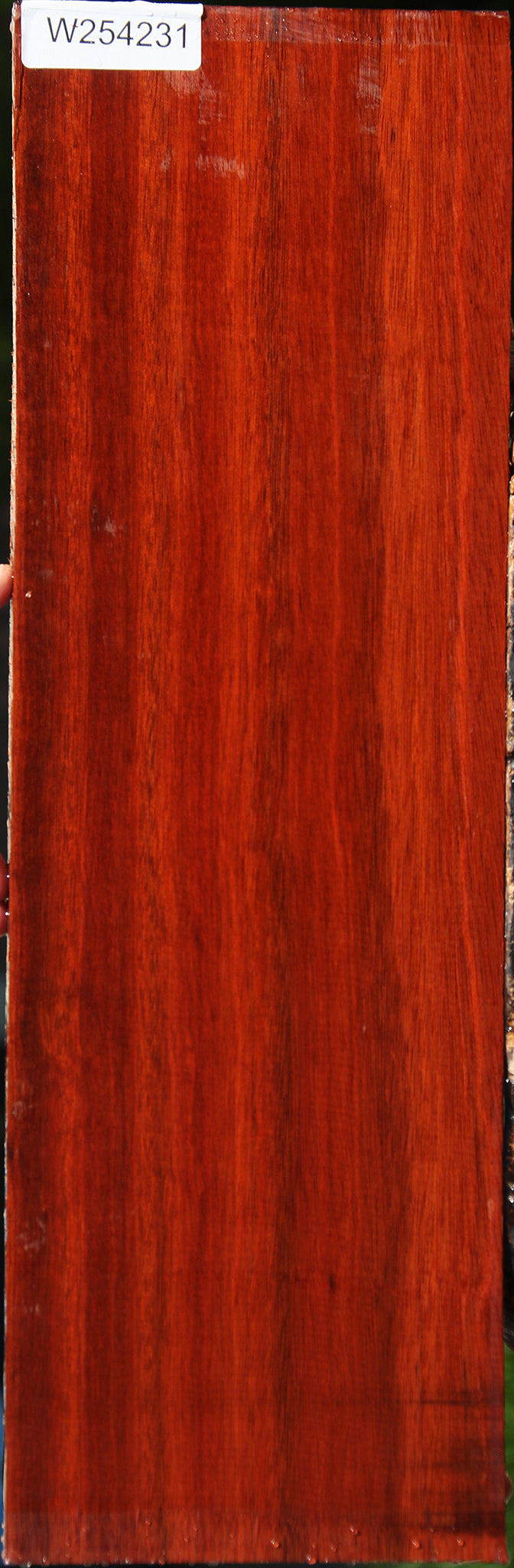 Bloodwood Lumber
