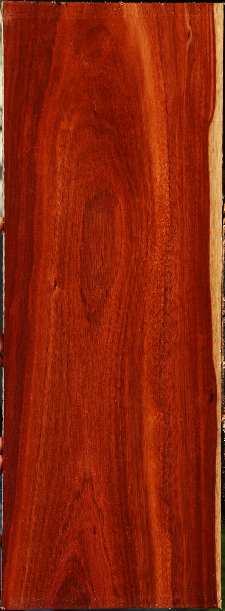 Bloodwood Lumber