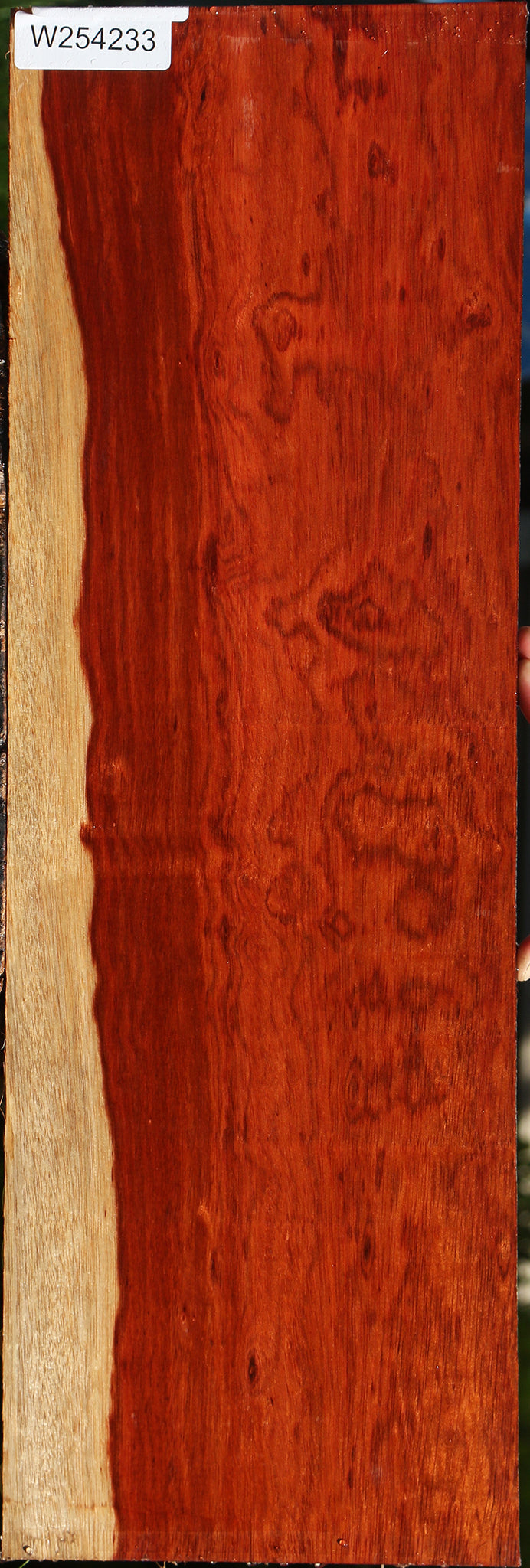 Figured Bloodwood Lumber