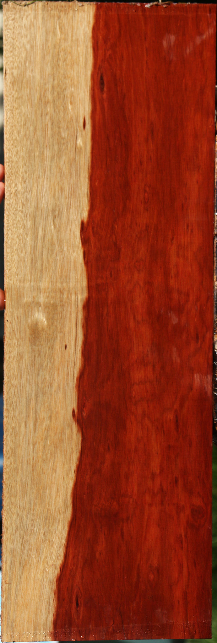 Figured Bloodwood Lumber