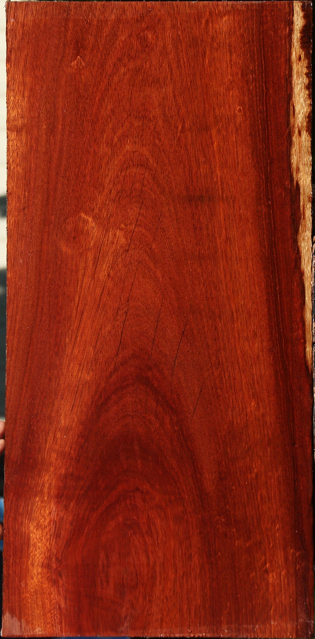 Rustic Bloodwood Lumber