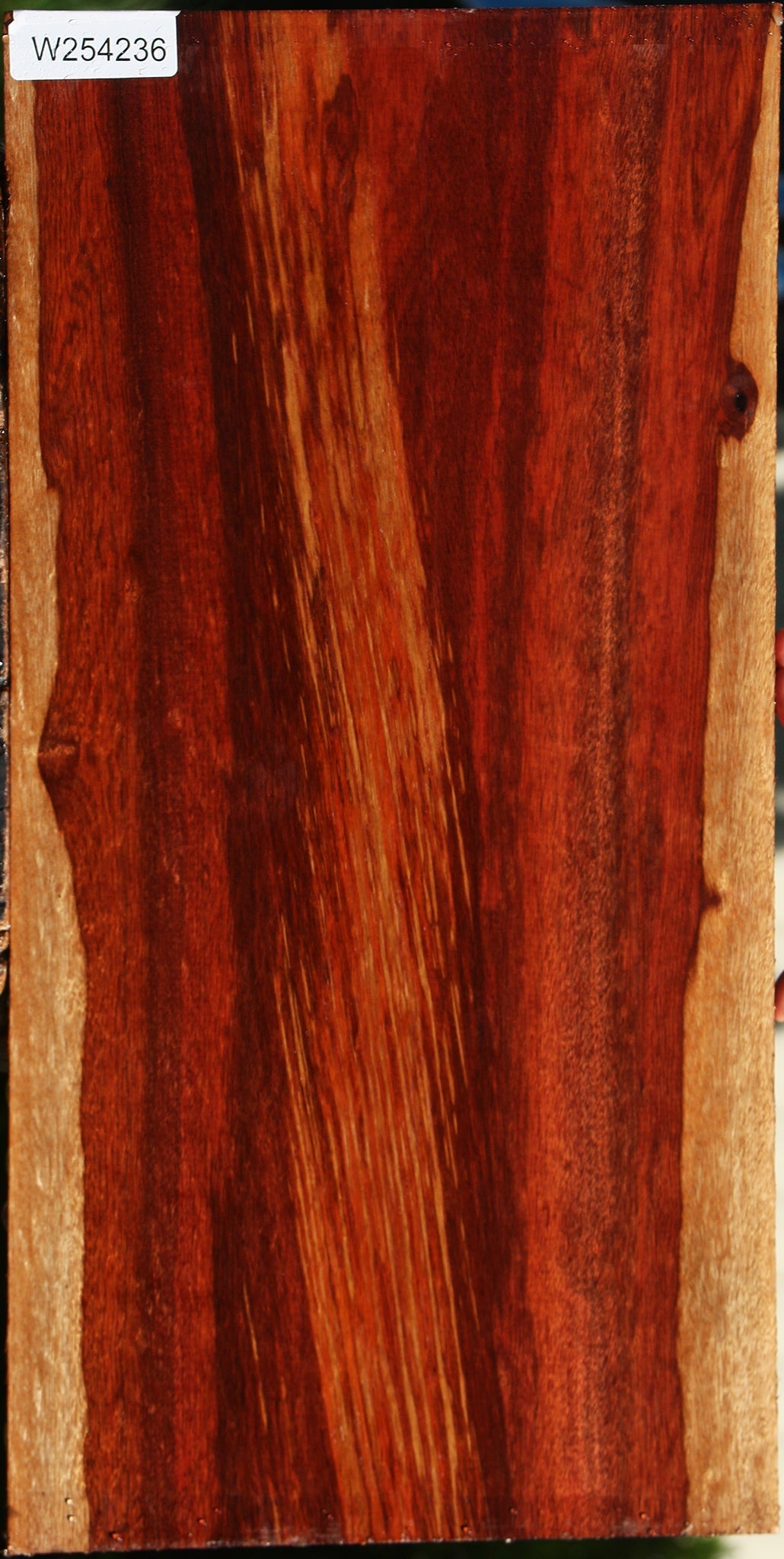 Extra Fancy Bloodwood Lumber