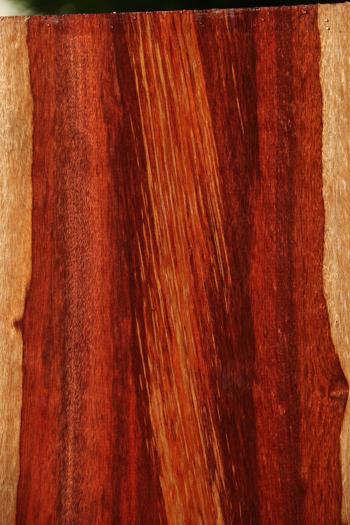 Extra Fancy Bloodwood Lumber