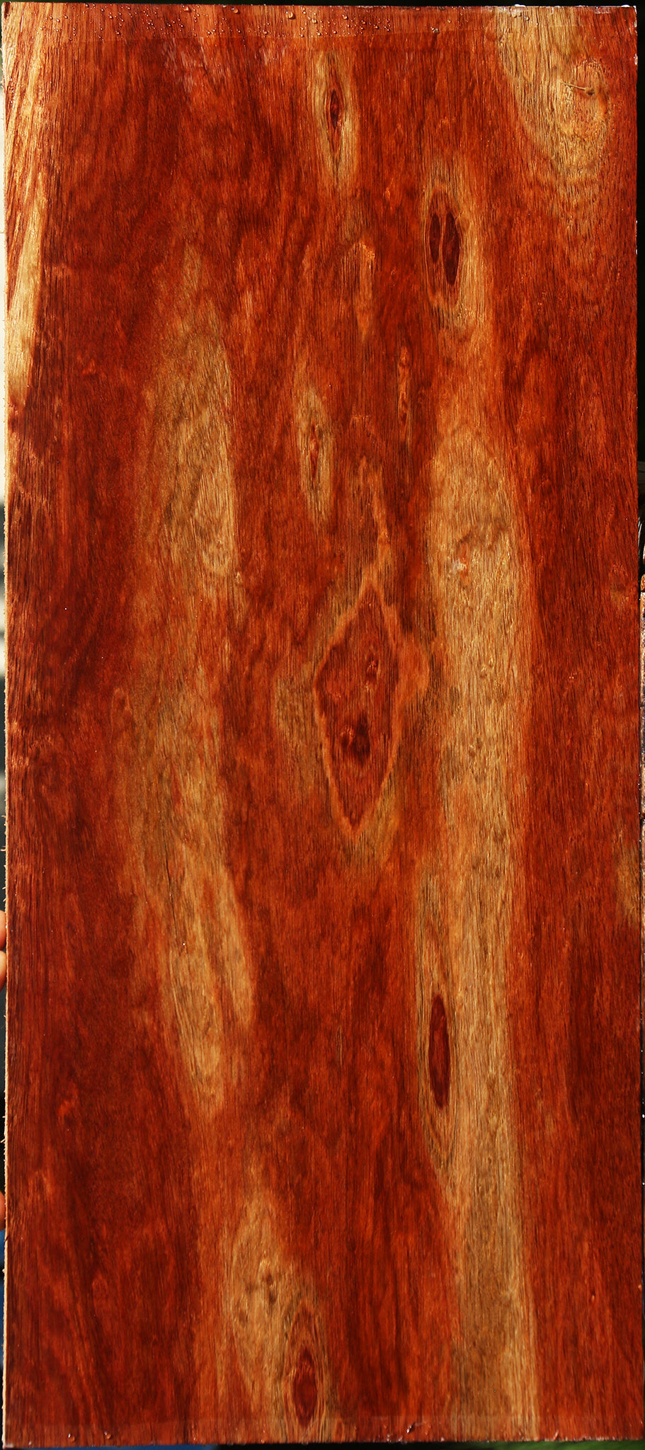 Extra Fancy Bloodwood Lumber