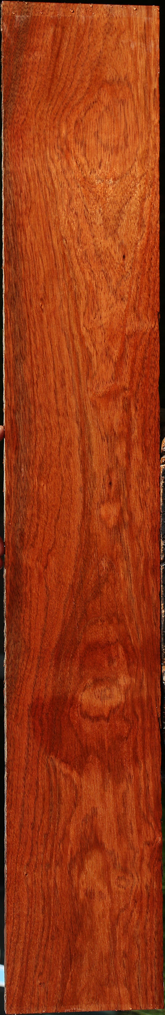 Figured Bloodwood Lumber