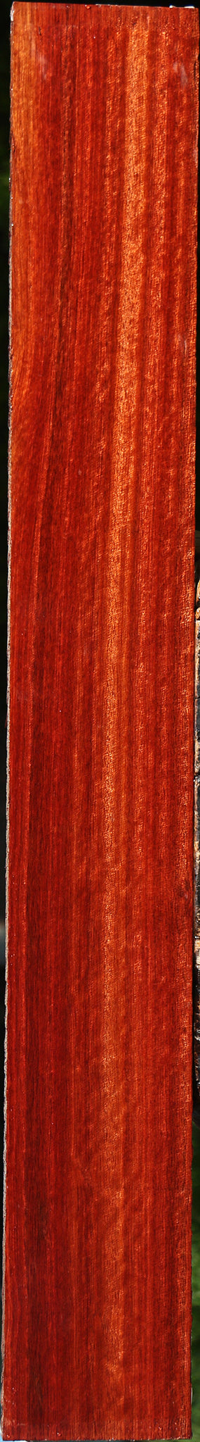 Figured Quartersawn Bloodwood Lumber