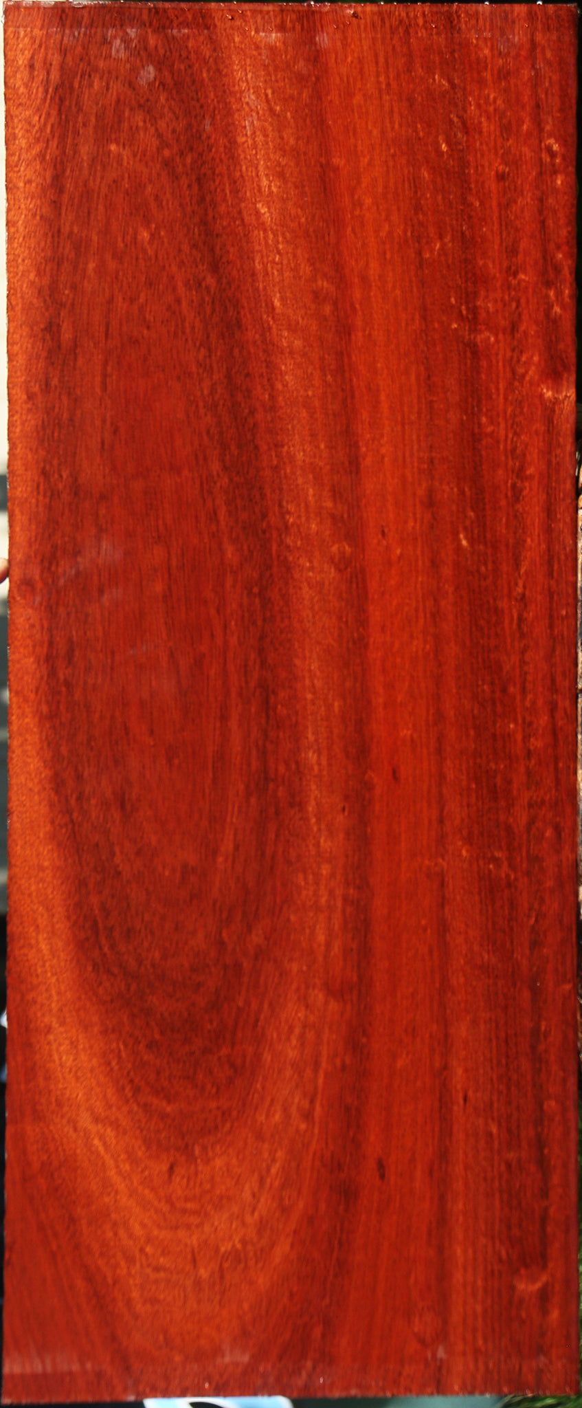 Extra Fancy Bloodwood Lumber