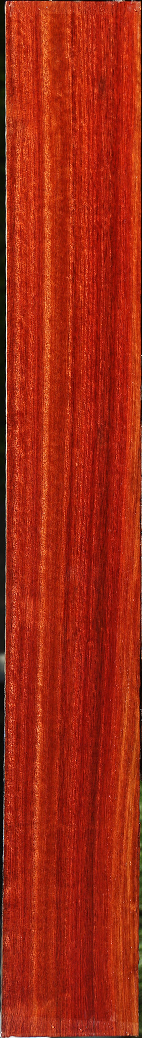Figured Quartersawn Bloodwood Lumber