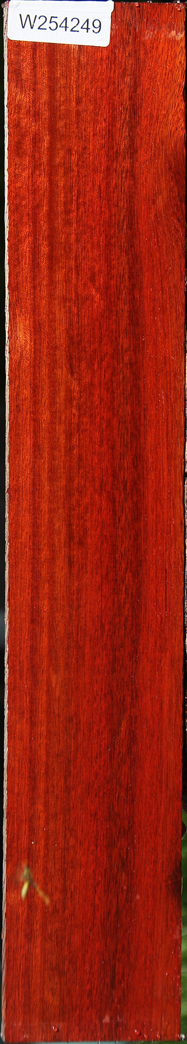 Figured Quartersawn Bloodwood Lumber