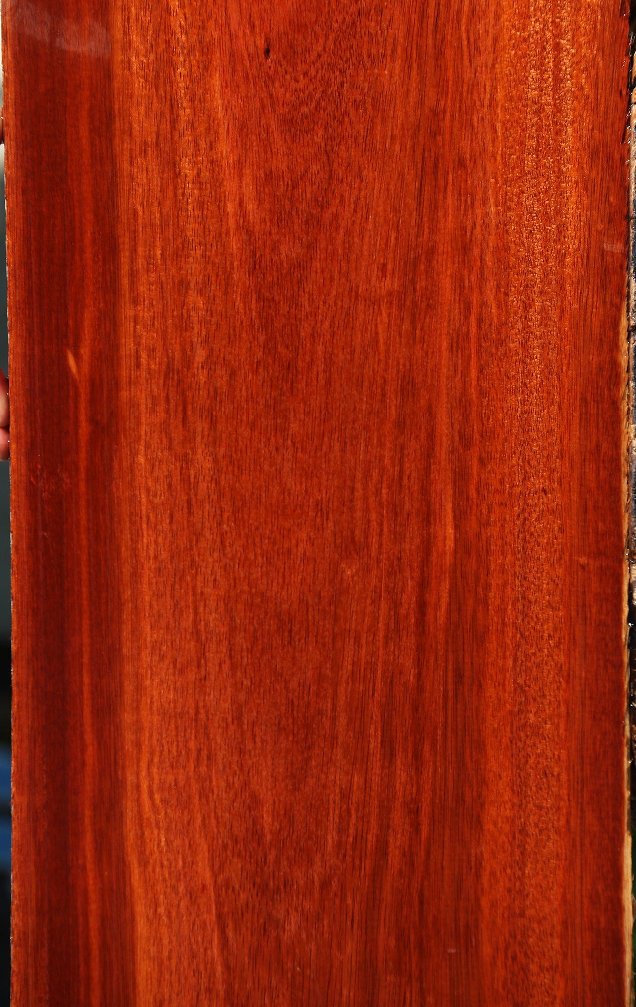 Bloodwood Lumber