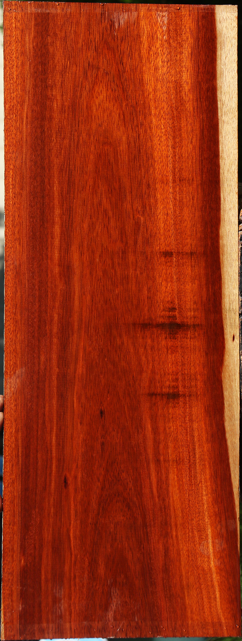 Bloodwood Lumber